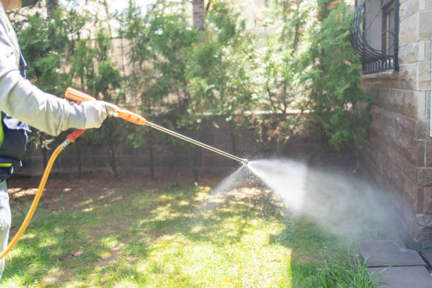 Lawn Pest Control in Pigeon, MI